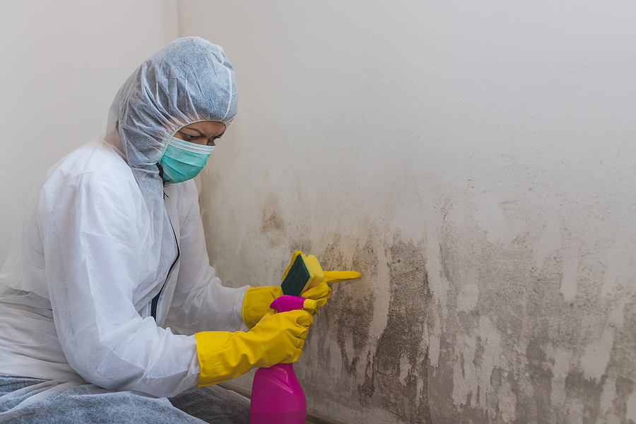 lady scrubbing the wall