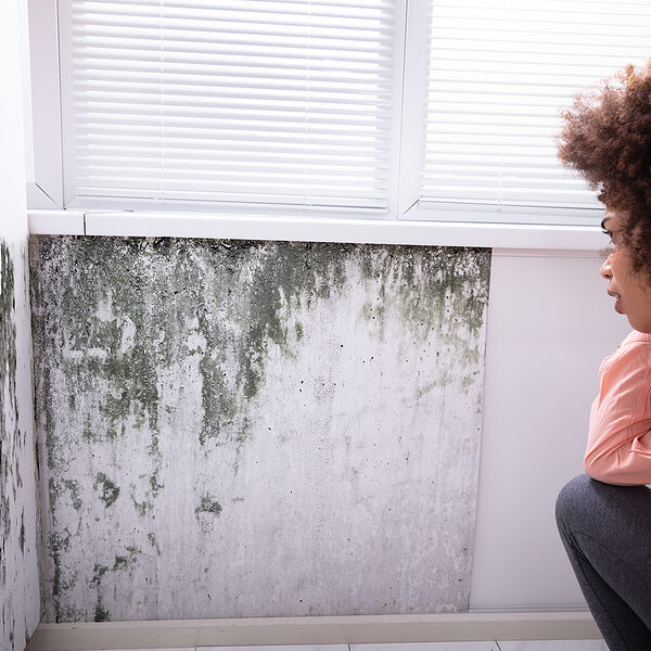 lady looking at the wall